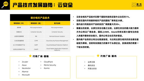 斯元商業(yè)咨詢2023年網(wǎng)絡(luò)安全科技供應(yīng)鏈報告技術(shù)咨詢