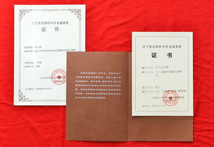 技術咨詢與社會服務 融合與賦能